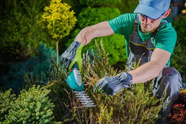 landscaping services Galliano